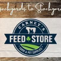 Carney's — Backyard to stockyards
