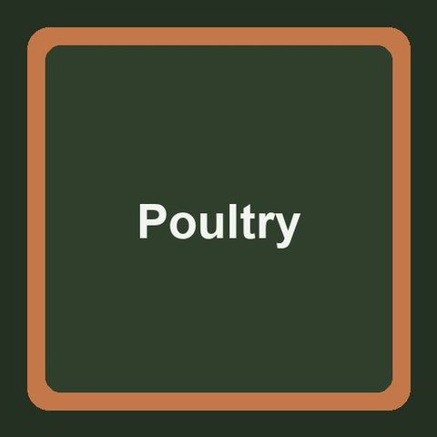 Standard Range Poultry Grit 48kg